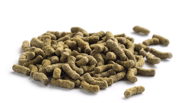 TBMA aquafeed fish salmon pen rotary valve feeding barge